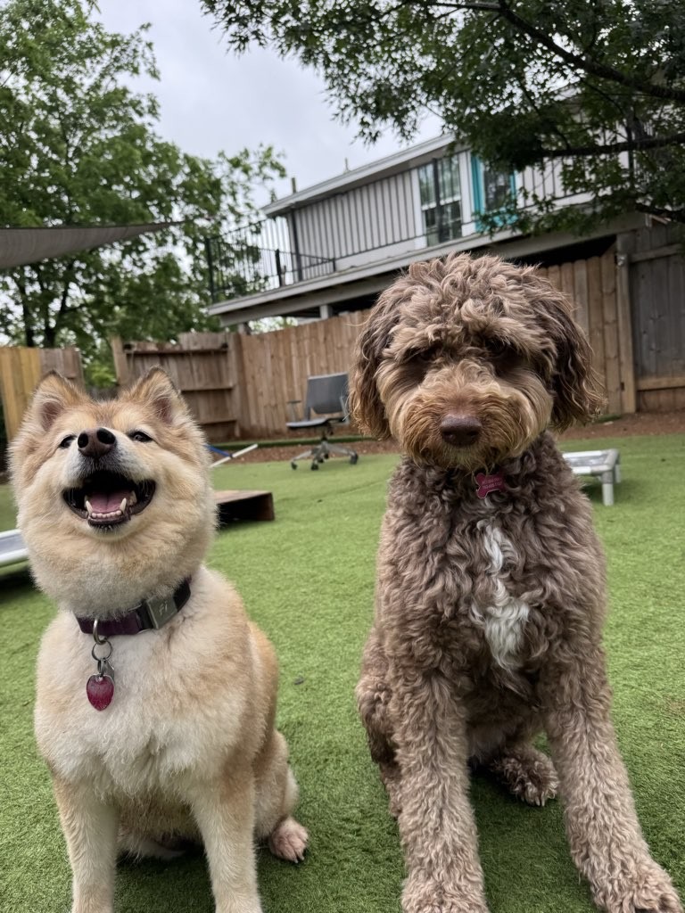 Sunset Yappy Hour (June)