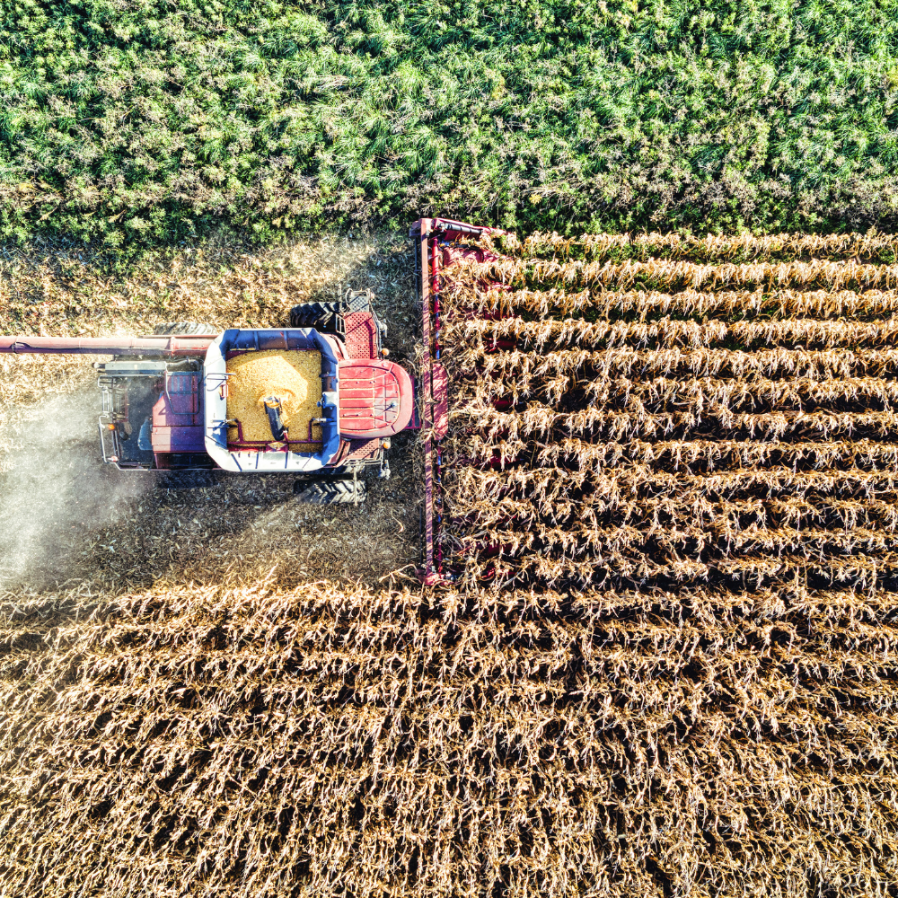 Agriculture image placeholder, replace with field or operations photo