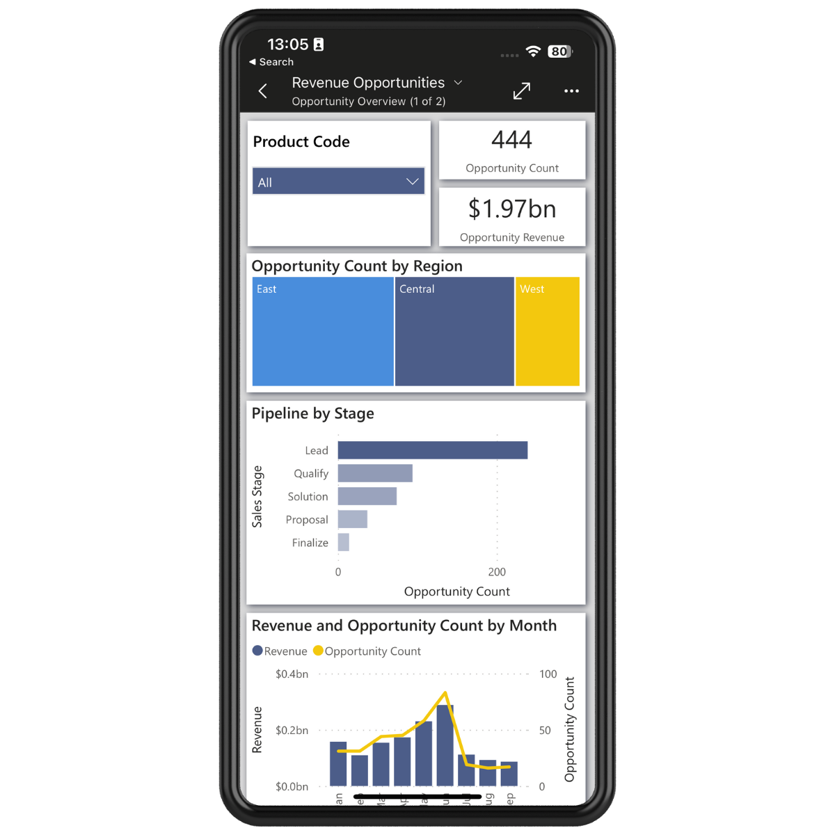 Power BI Mobile App report