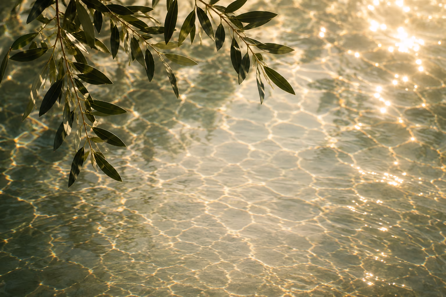 Botanical golden-hour landscape