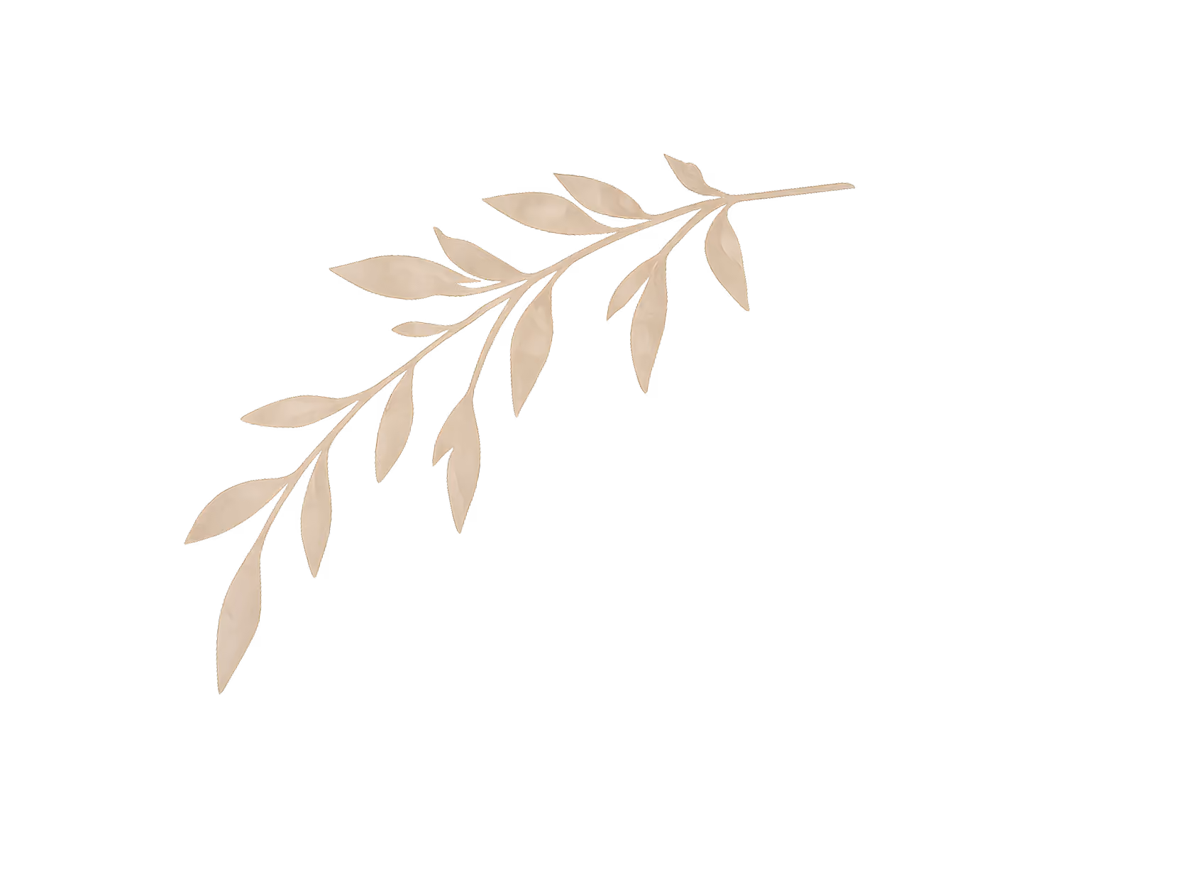 Decorative leaf illustration, right side of hero section