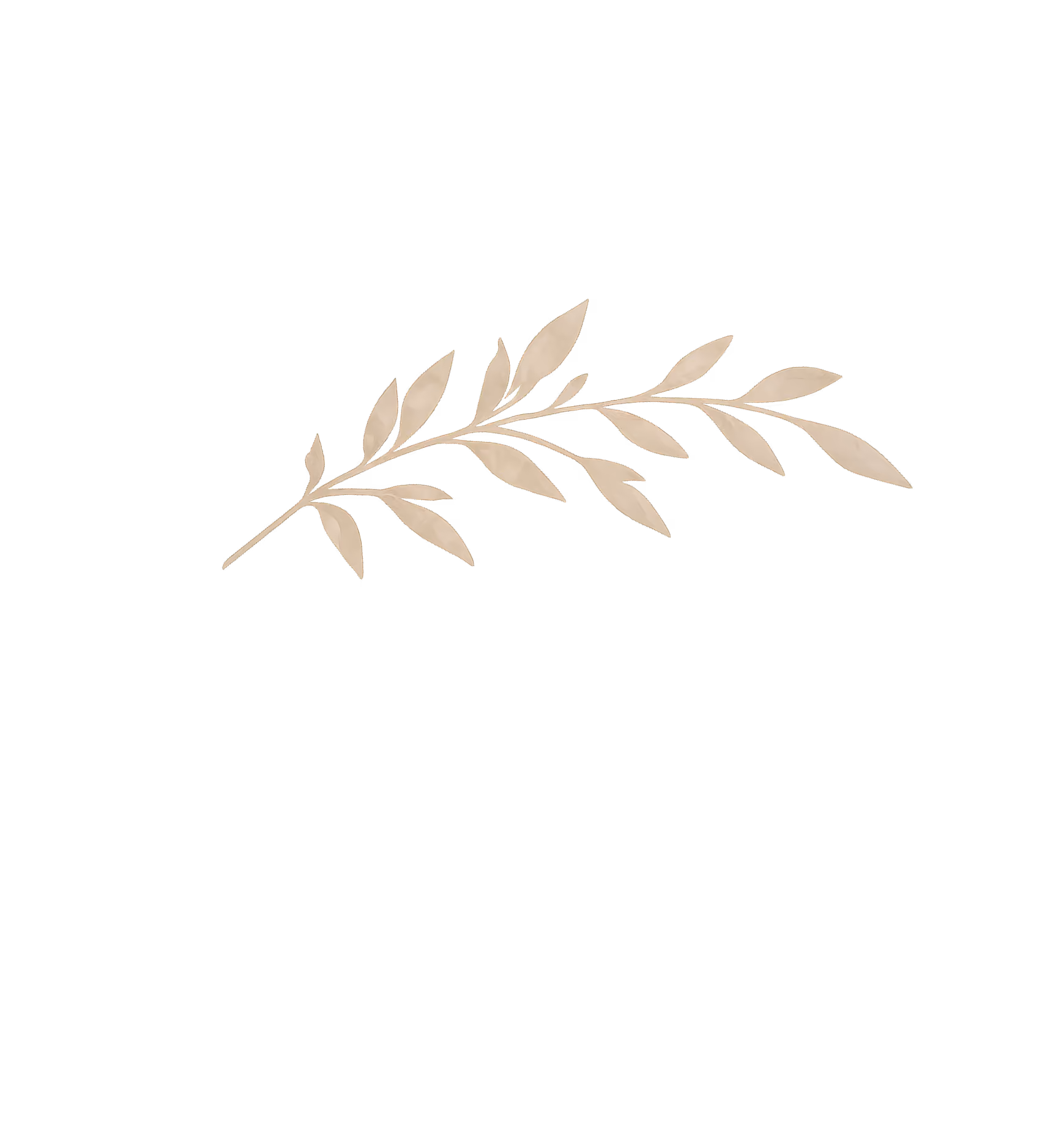 Decorative leaf illustration, left side of hero section