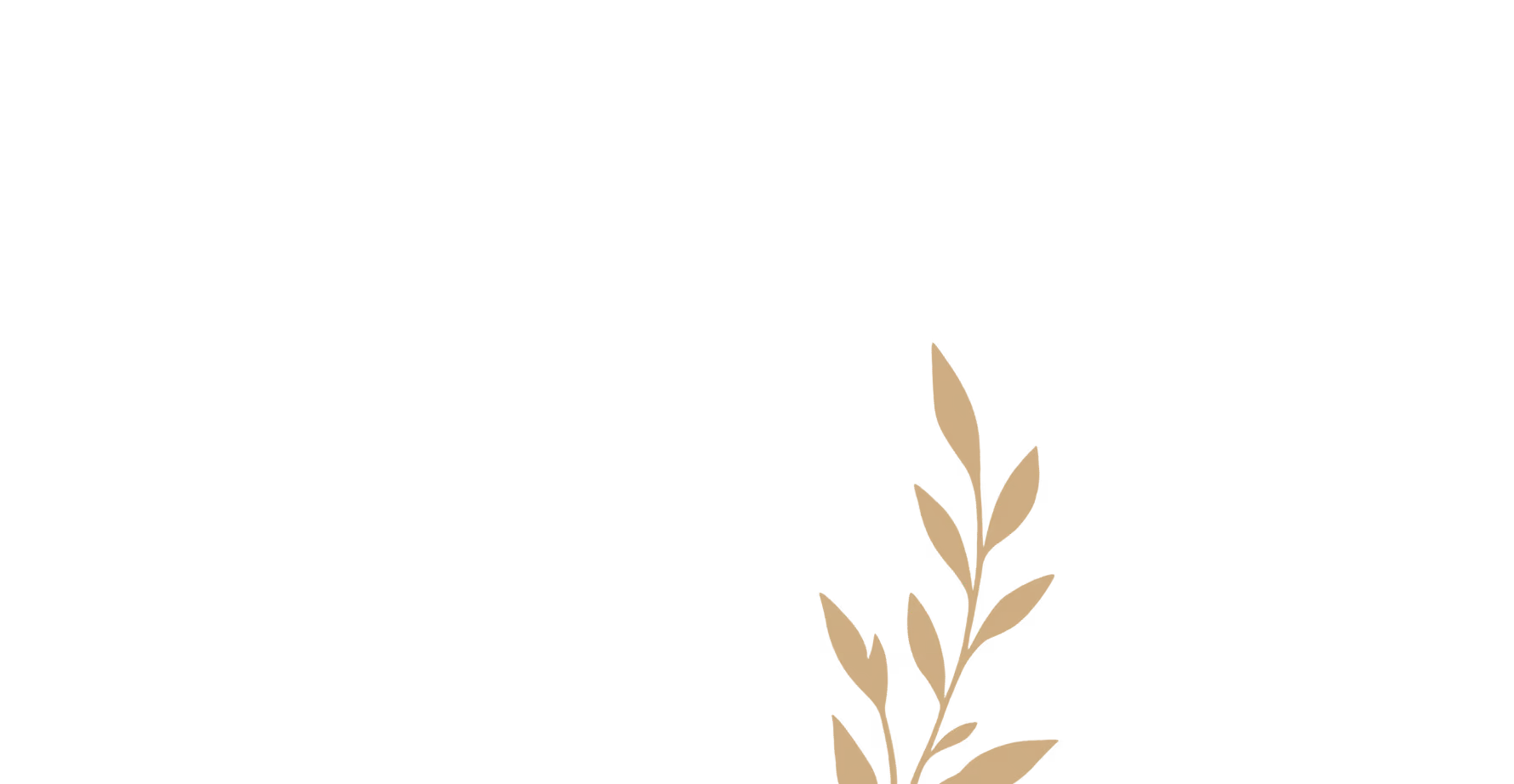 Decorative flower graphic in the footer