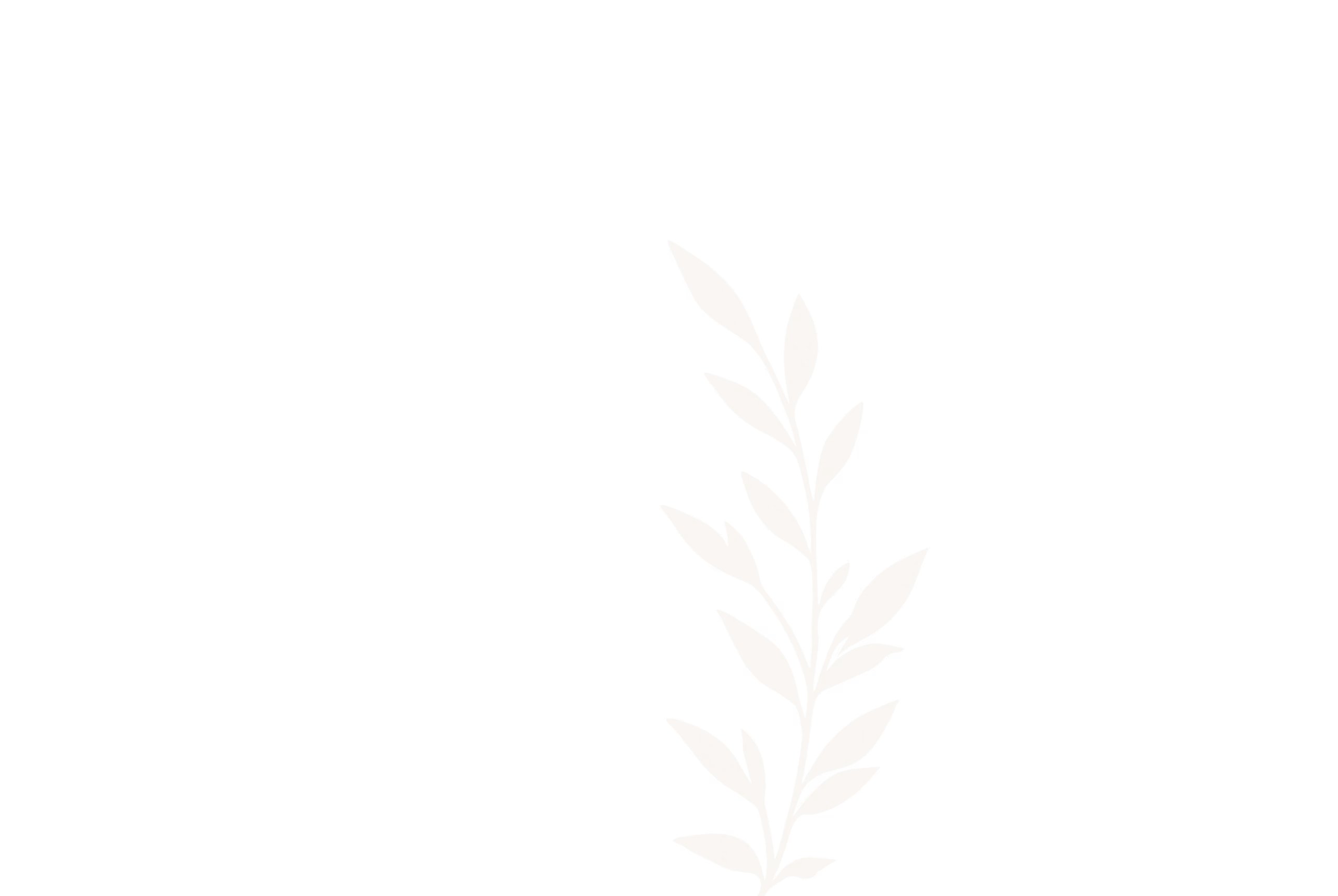 Decorative leaf illustration