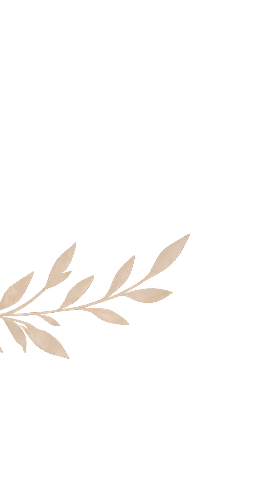 Leaf illustration for the Connect section