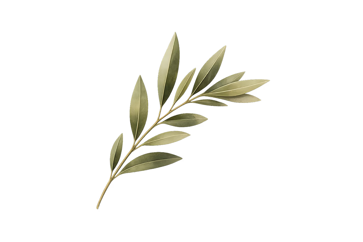 Leaf material image