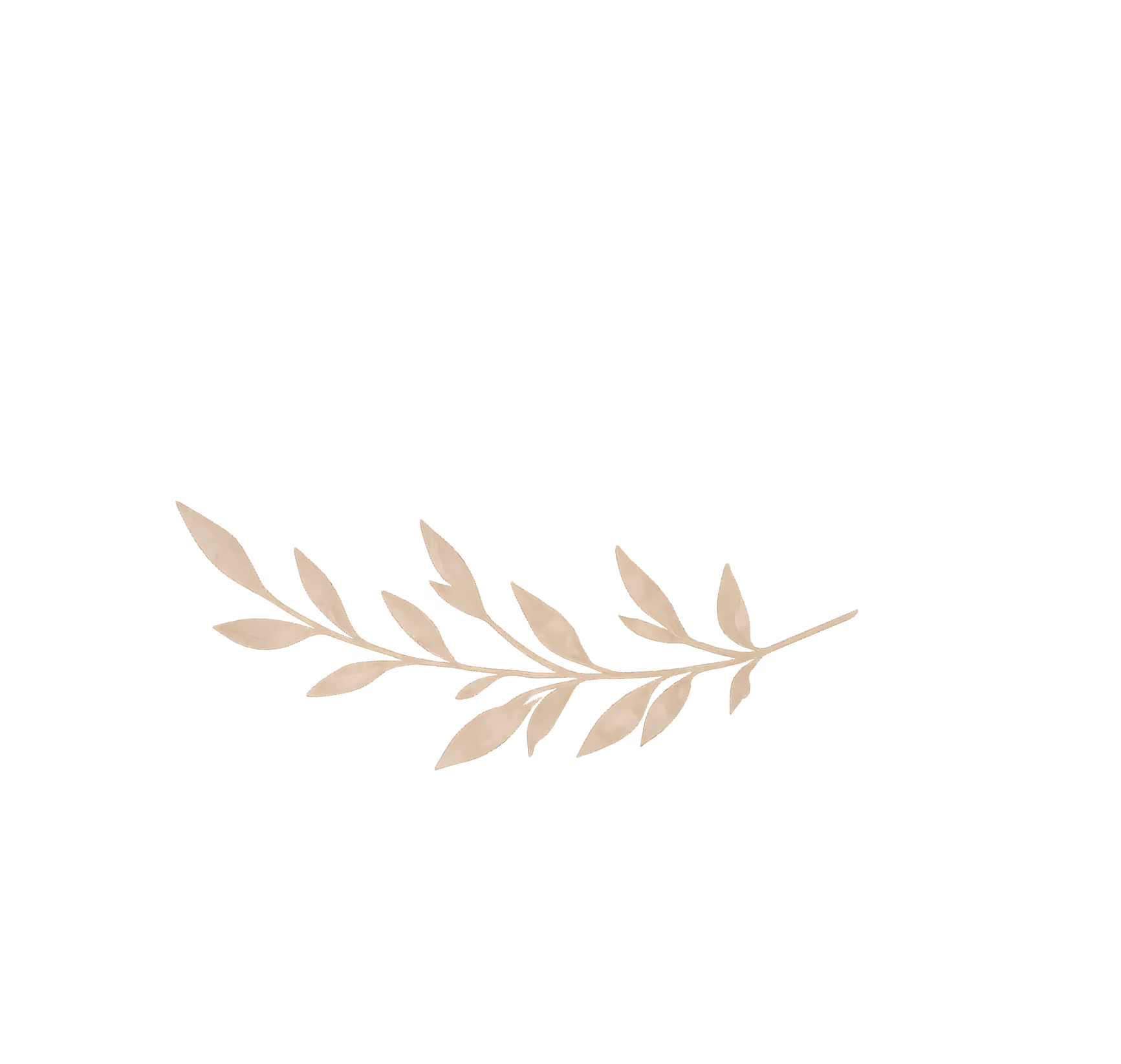 Decorative leaf illustration
