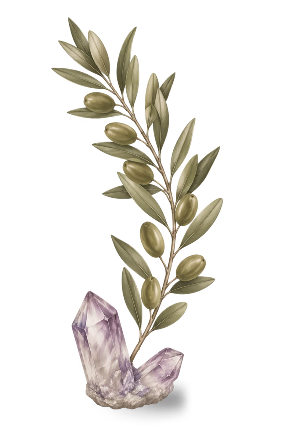 Decorative leaf illustration for blog section