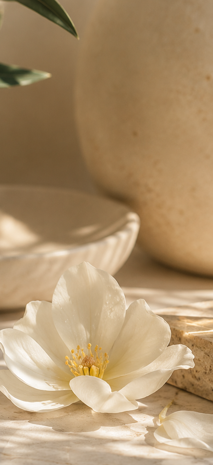 Lavender skincare ritual