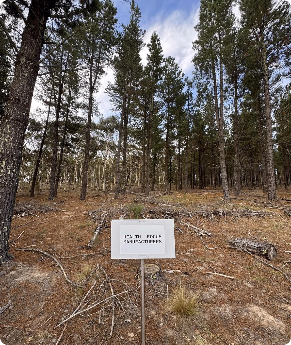 Sign reading 'Health Focus Manufacturers' in a forest with pine trees and scattered branches on the ground.