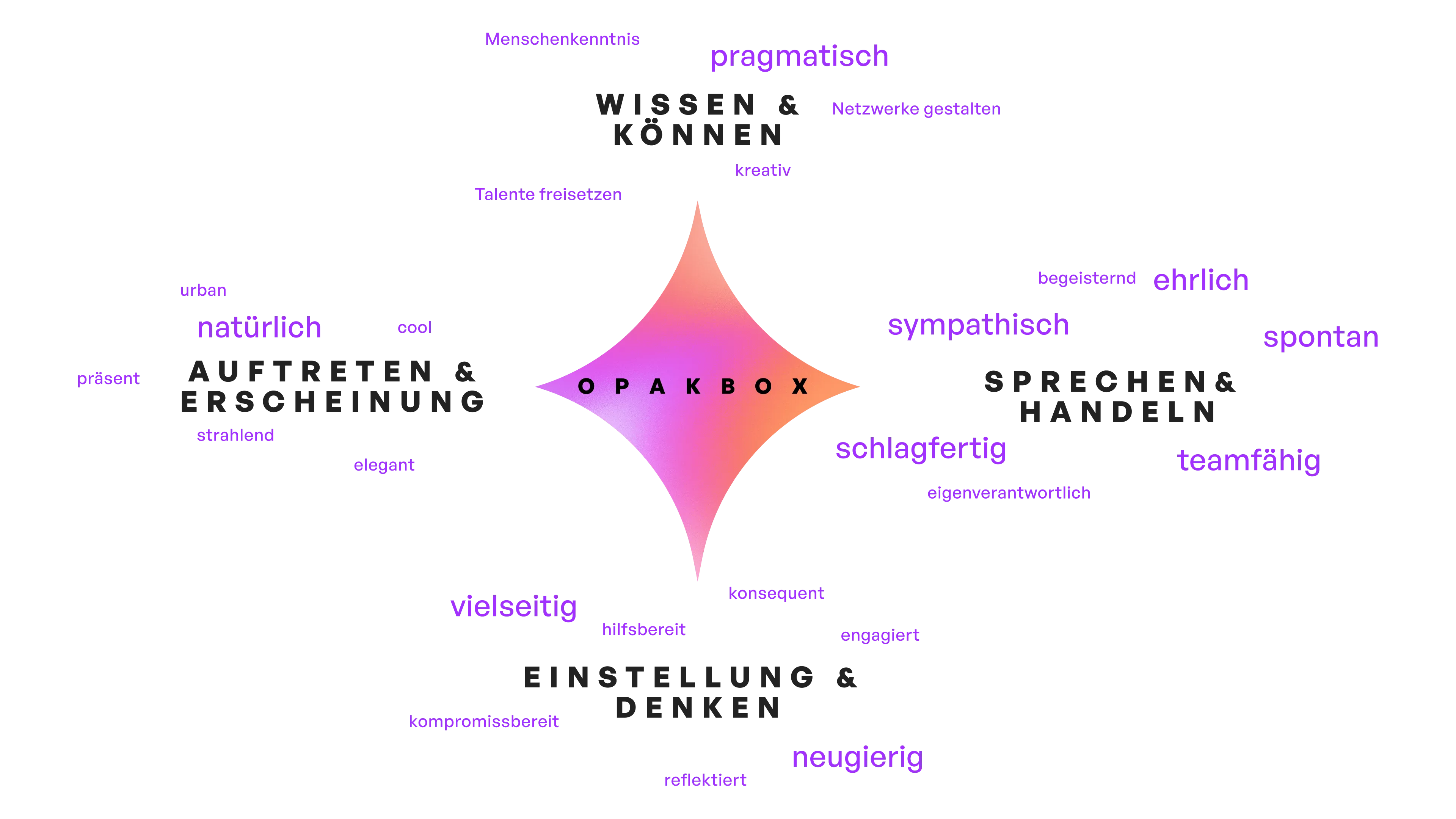 Stärkenkompass-Grafik zum Opakbox Stärkenprofil