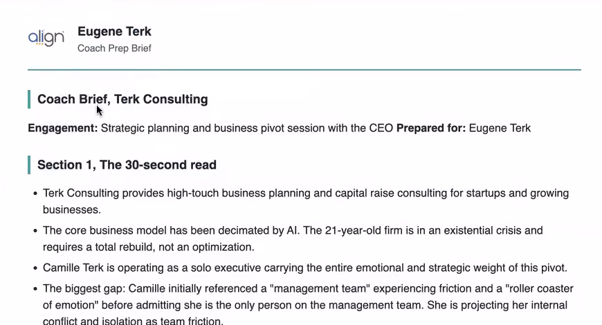 A Coach Brief's 30-second read, summarizing the engagement and the CEO's situation