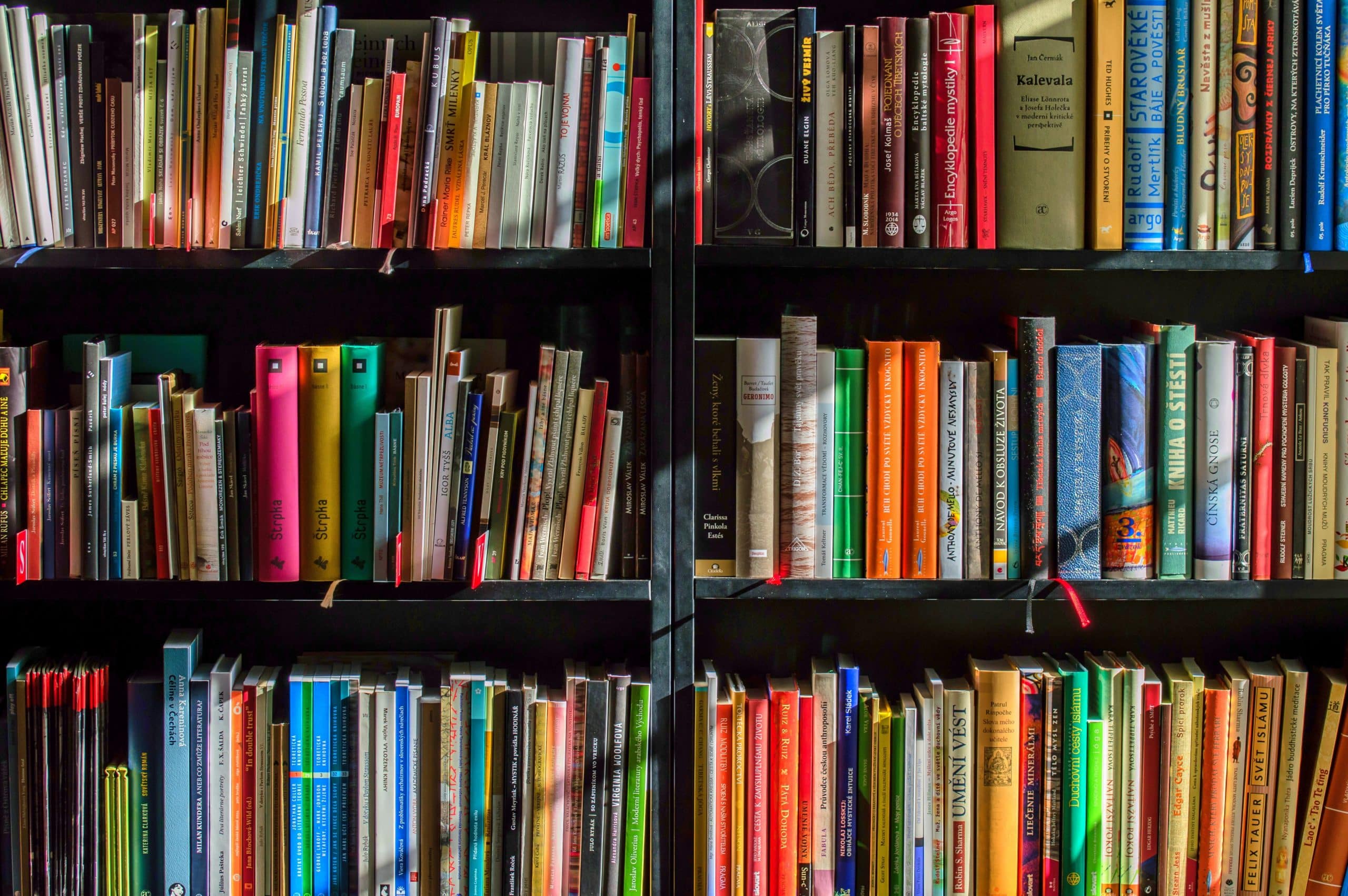 Top 10 Business Books of 2022
