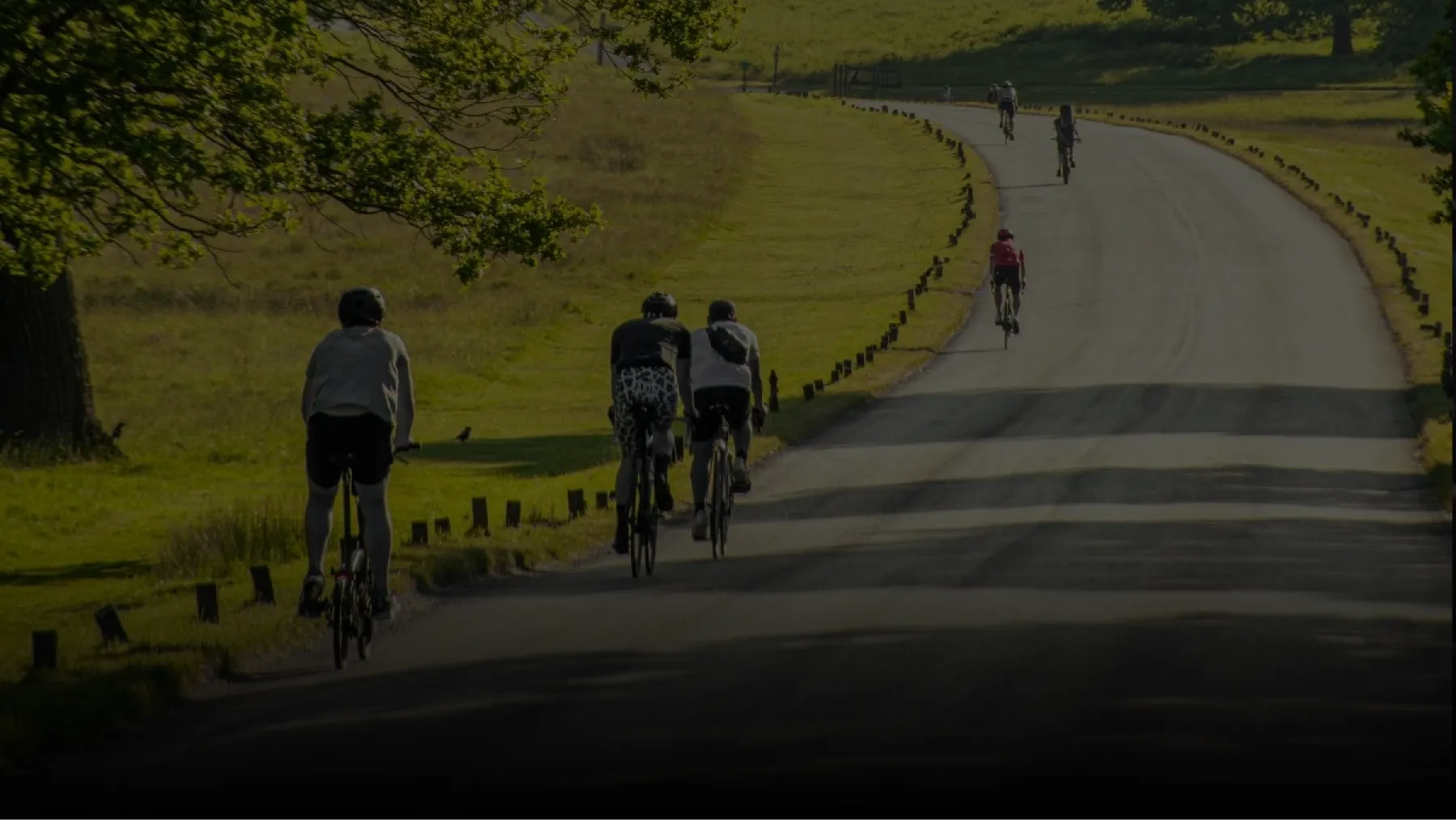 Several cyclists riding on a paved road through a green park area bordered by short wooden posts.