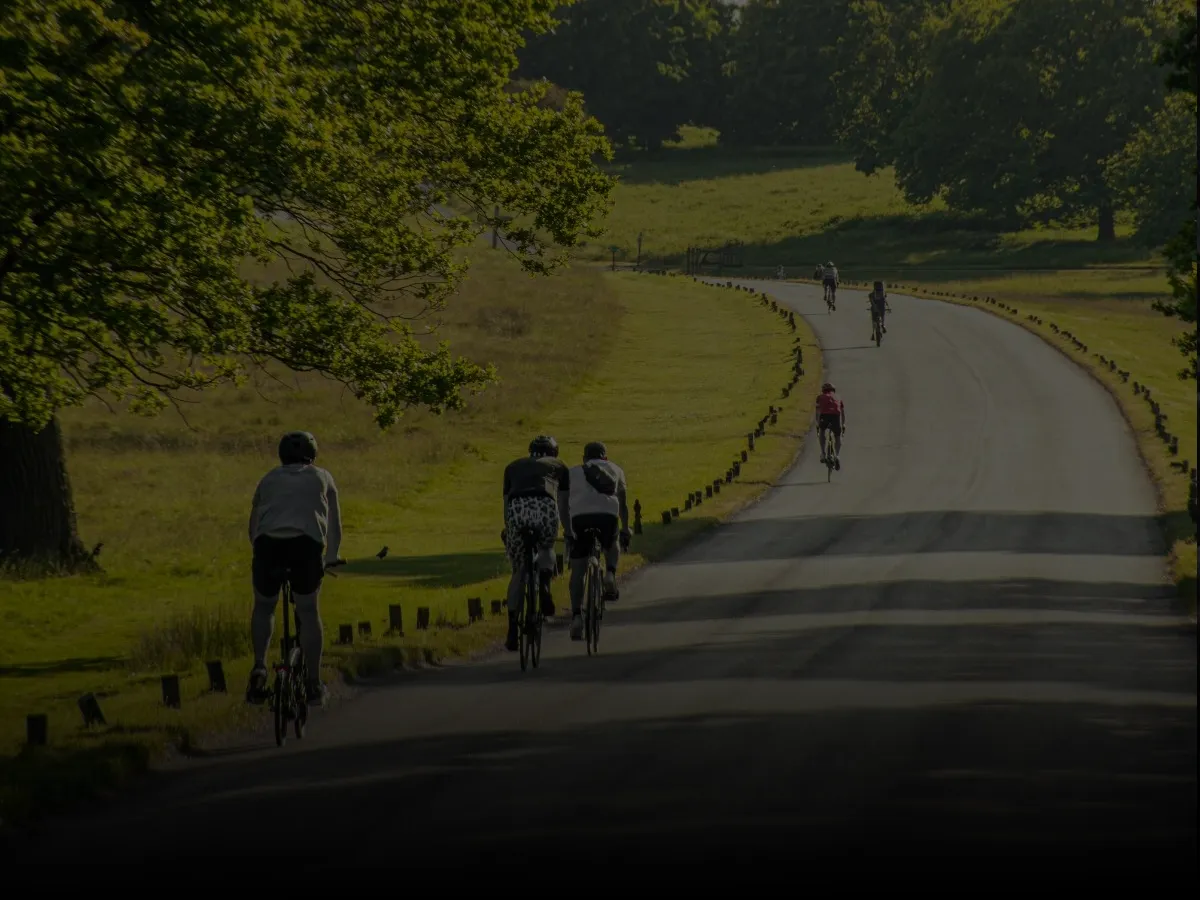 Seven cyclists riding on a winding road through a green park with trees and grassy fields on a sunny day.