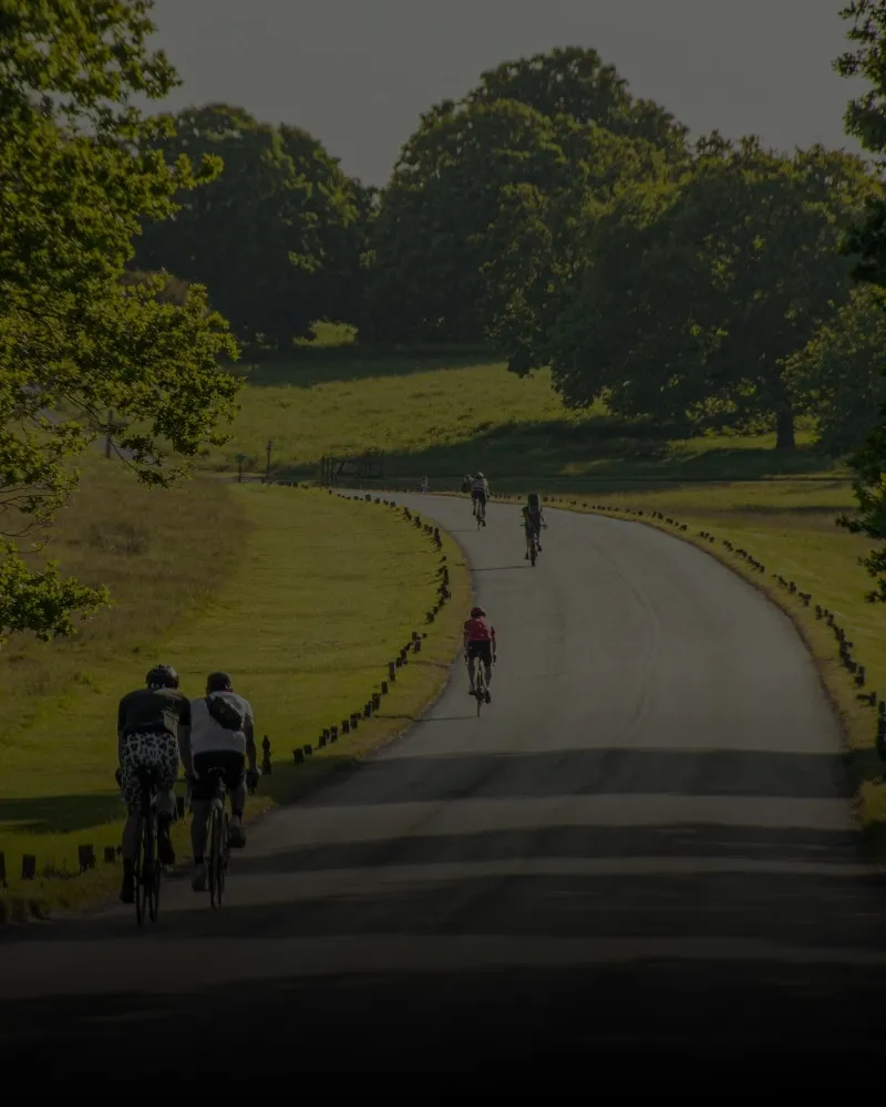 A group of cyclists riding on a paved road surrounded by green grassy fields and large leafy trees on a sunny day.