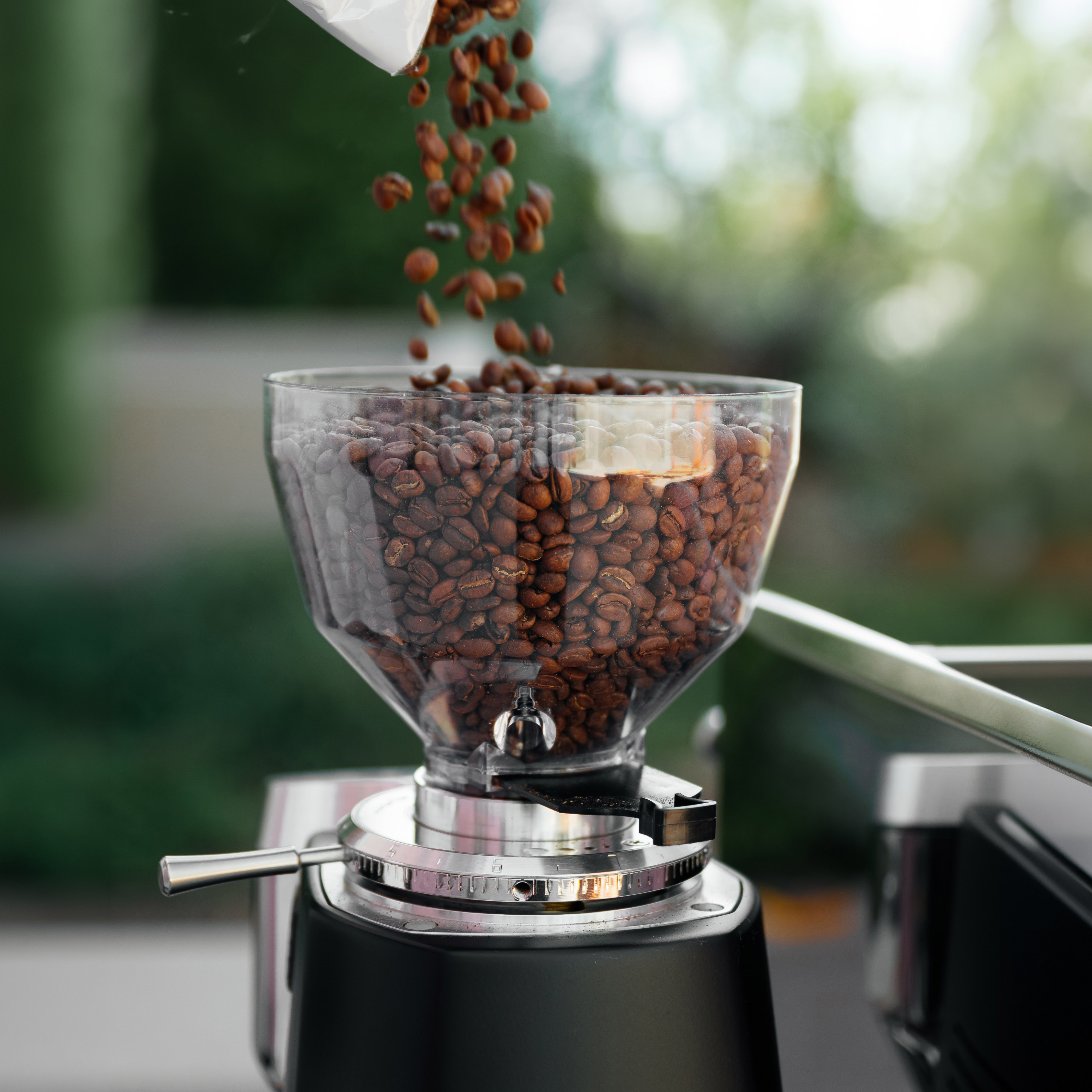 Coffee beans being poured into a transparent grinder hopper on a black and silver coffee grinder.
