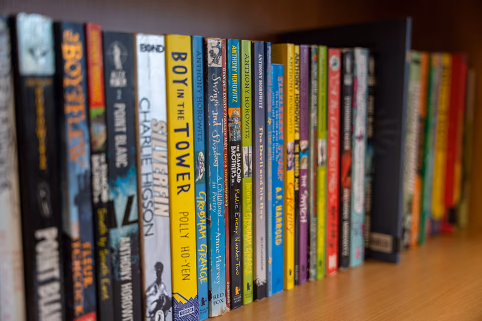 Row of children's book spines lined up on a wooden shelf.