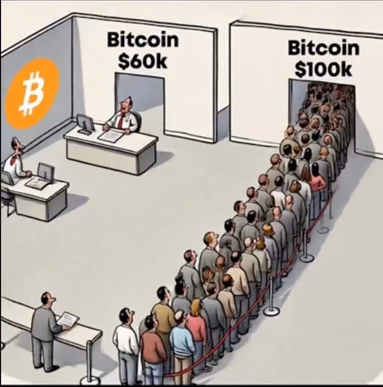 50 Best Crypto & Bitcoin Memes (August 2026)