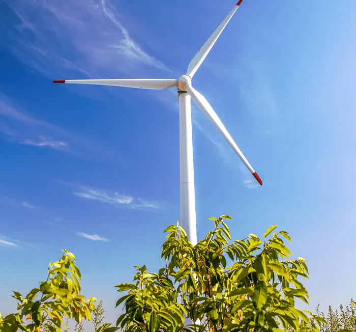 White wind turbine above green foliage under a clear blue sky with wispy clouds.