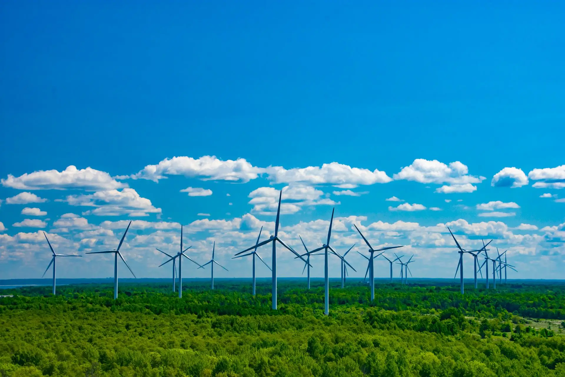 Wind turbines spread across a green forest under a blue sky with scattered white clouds.