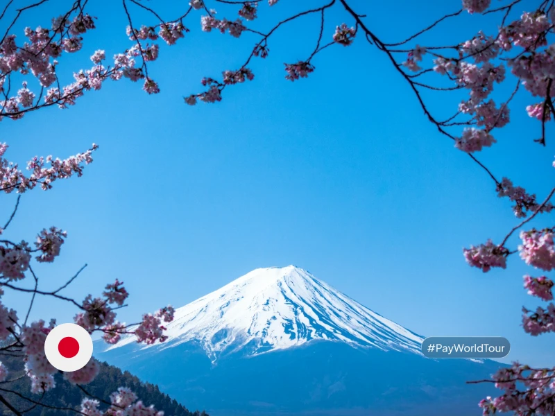 Japan payment landscape illustration