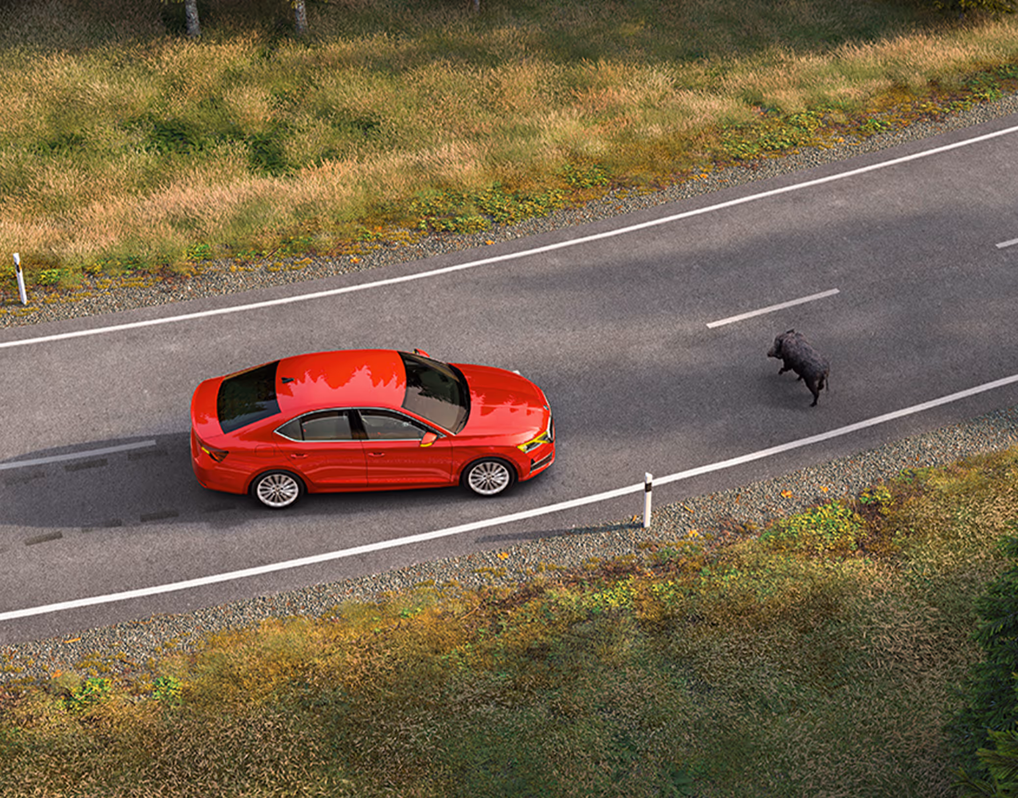 Animation des Proaktiven Insassenschutzes: Eine rote Škoda Octavia Limousine fährt auf einer Landstraße durch einen Wald, als plötzlich ein Wildschwein die Fahrbahn kreuzt.