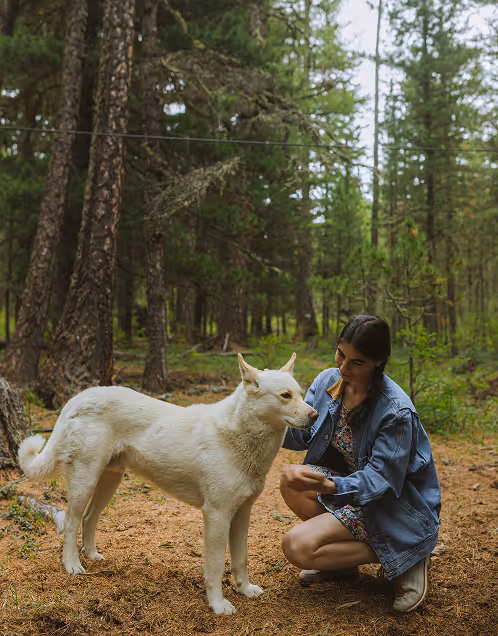Young woman crouching and petting a white dog in a forest.