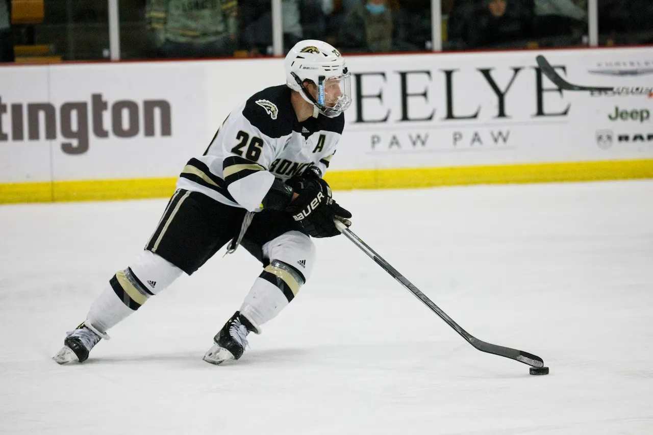 Ice hockey player representation