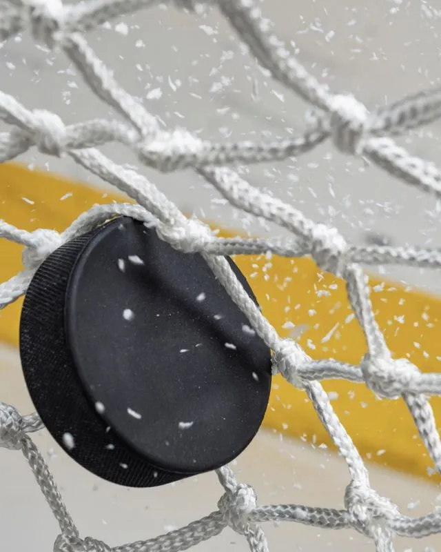 Puck in the net