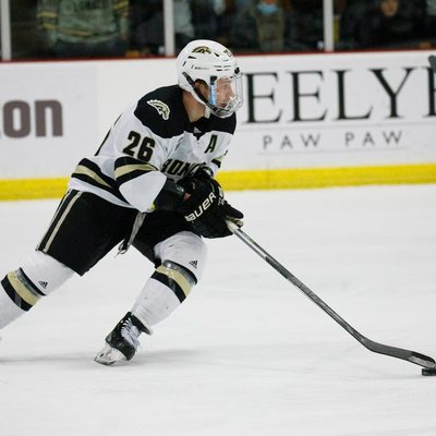 Ice hockey