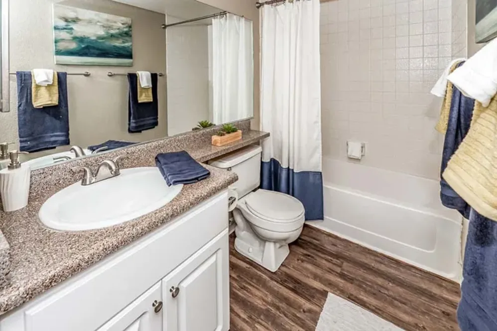 Bathroom with white cabinets