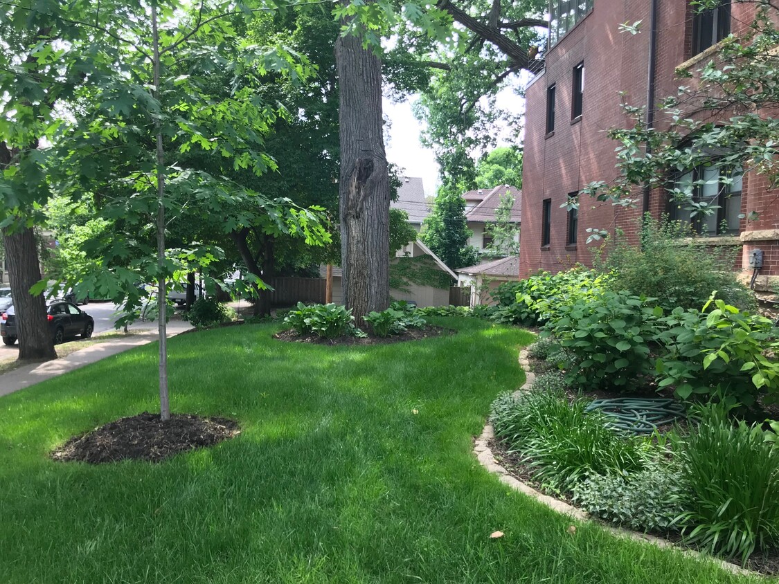 Side garden with mature trees, mulched beds and hostas beside the building
