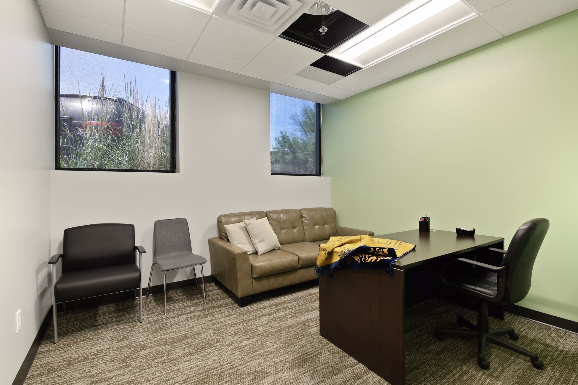 Small office with a green accent wall, a sofa and high windows beneath a suspended ceiling