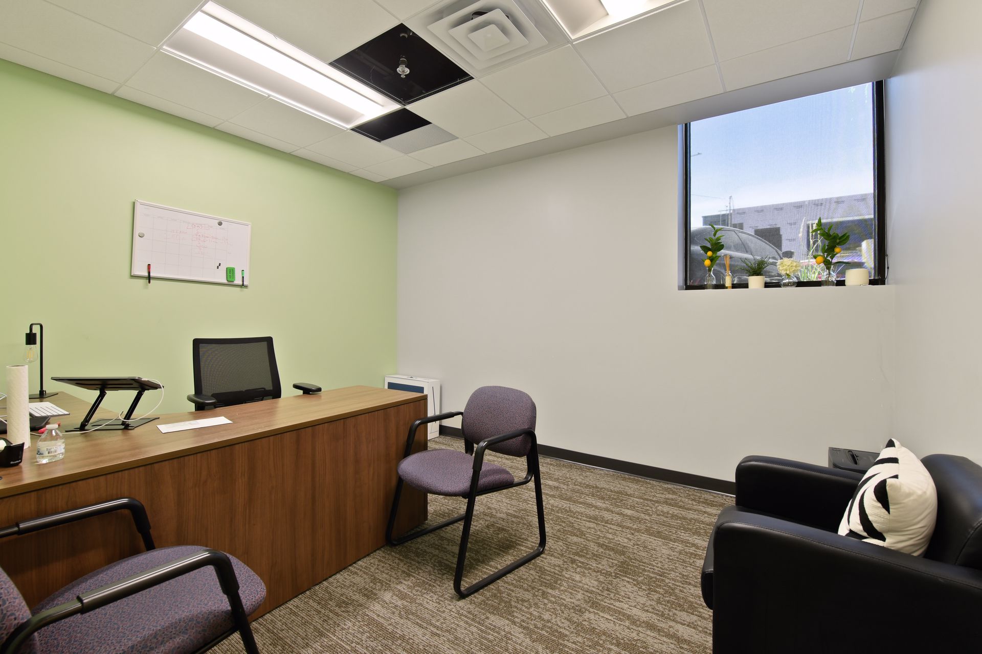Small office with a green accent wall, a whiteboard and a suspended acoustic ceiling