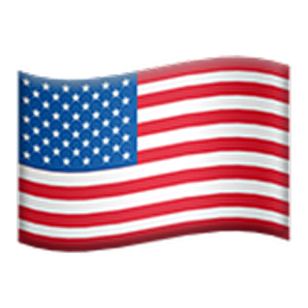 USA Flag Icon
