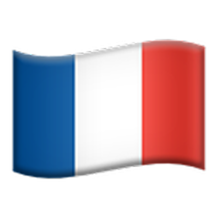 France Flag Icon
