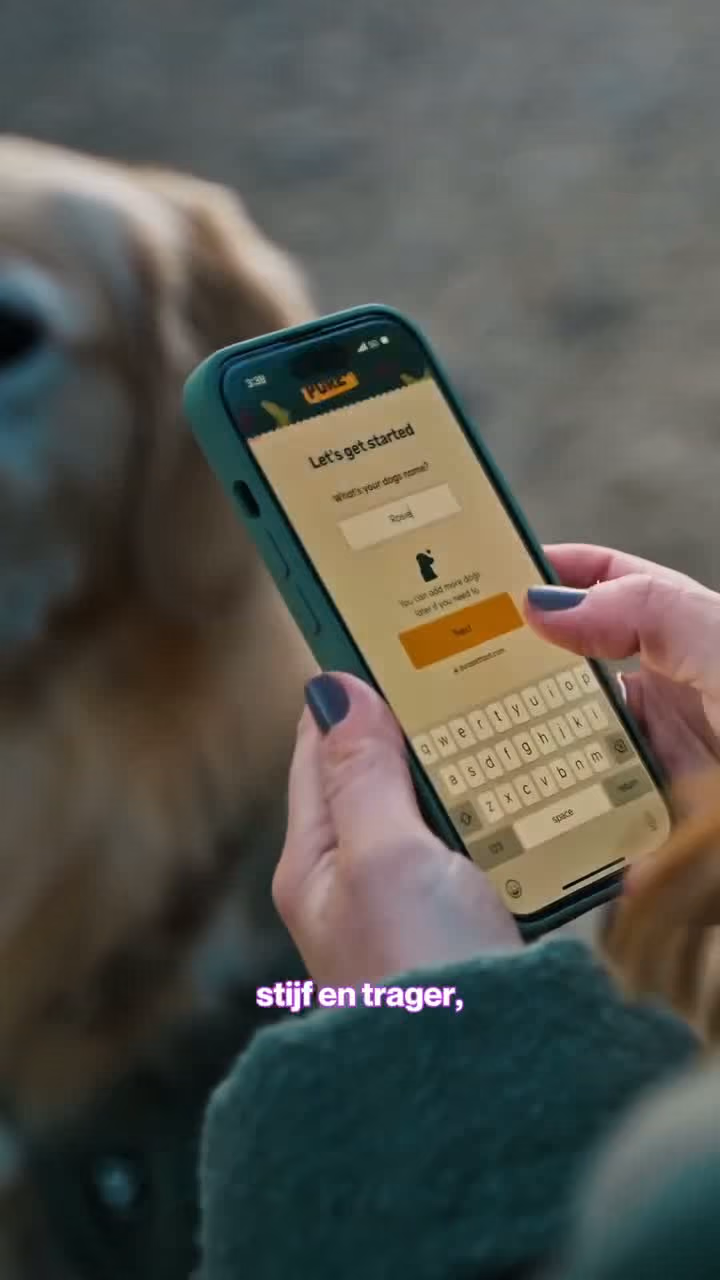 CS Pure A Totally Different Dog