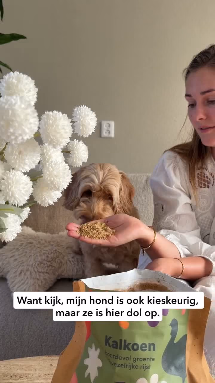 CS Pure My Dog Won't Eat That