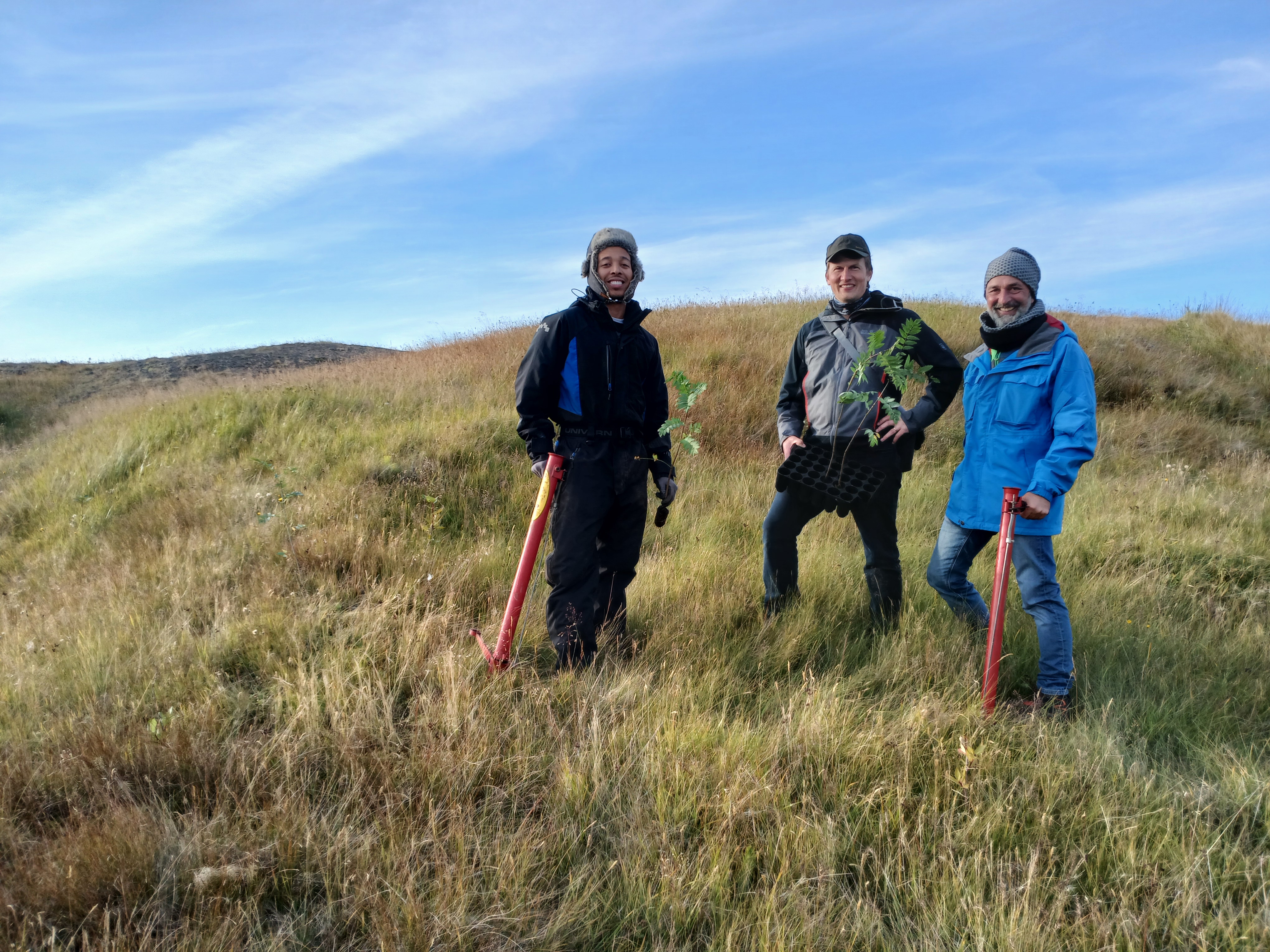 Three of the Reforest Iceland team on the heath at Fagrabrekka, holding planting tools and a tray of saplings