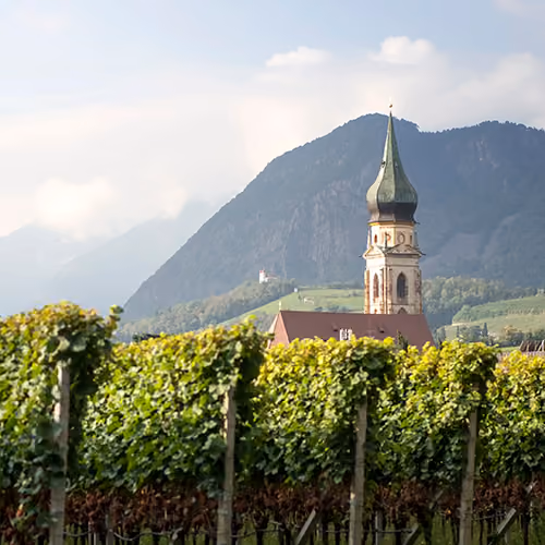 Pfarrkirche St. Pauls zwischen Weinbergen in Eppan