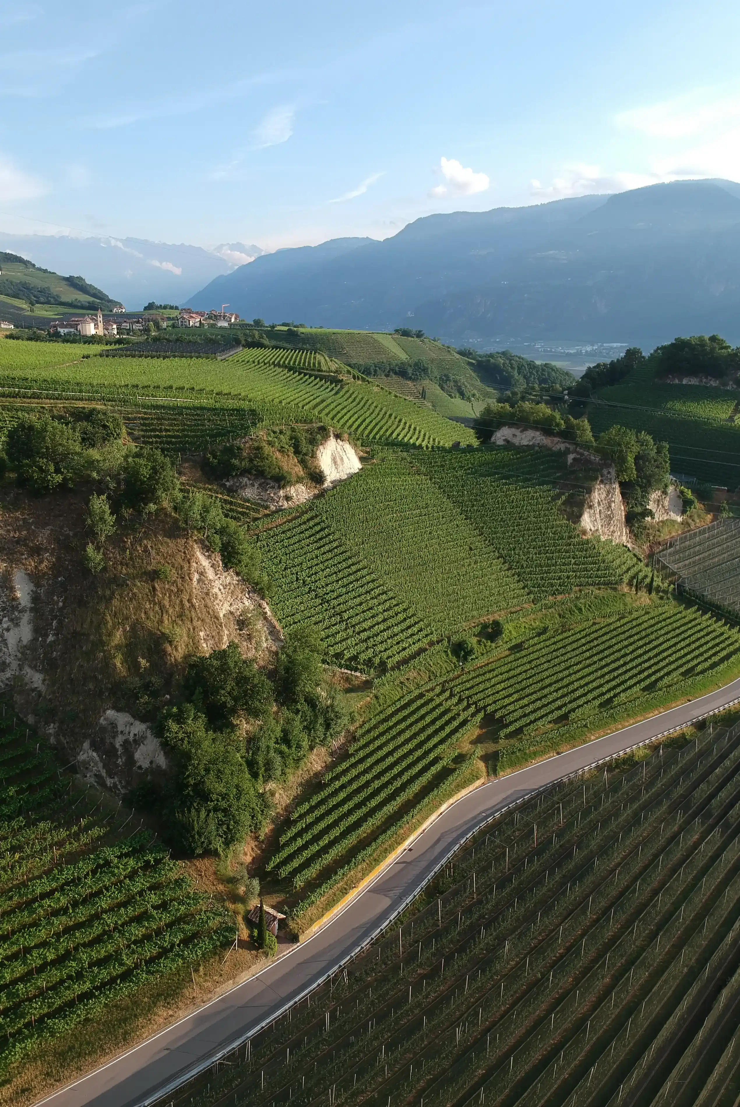 Weinberge an der Südtiroler Weinstraße mit Blick ins Tal
