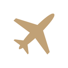 Icon of a brown airplane silhouette in a white circle.