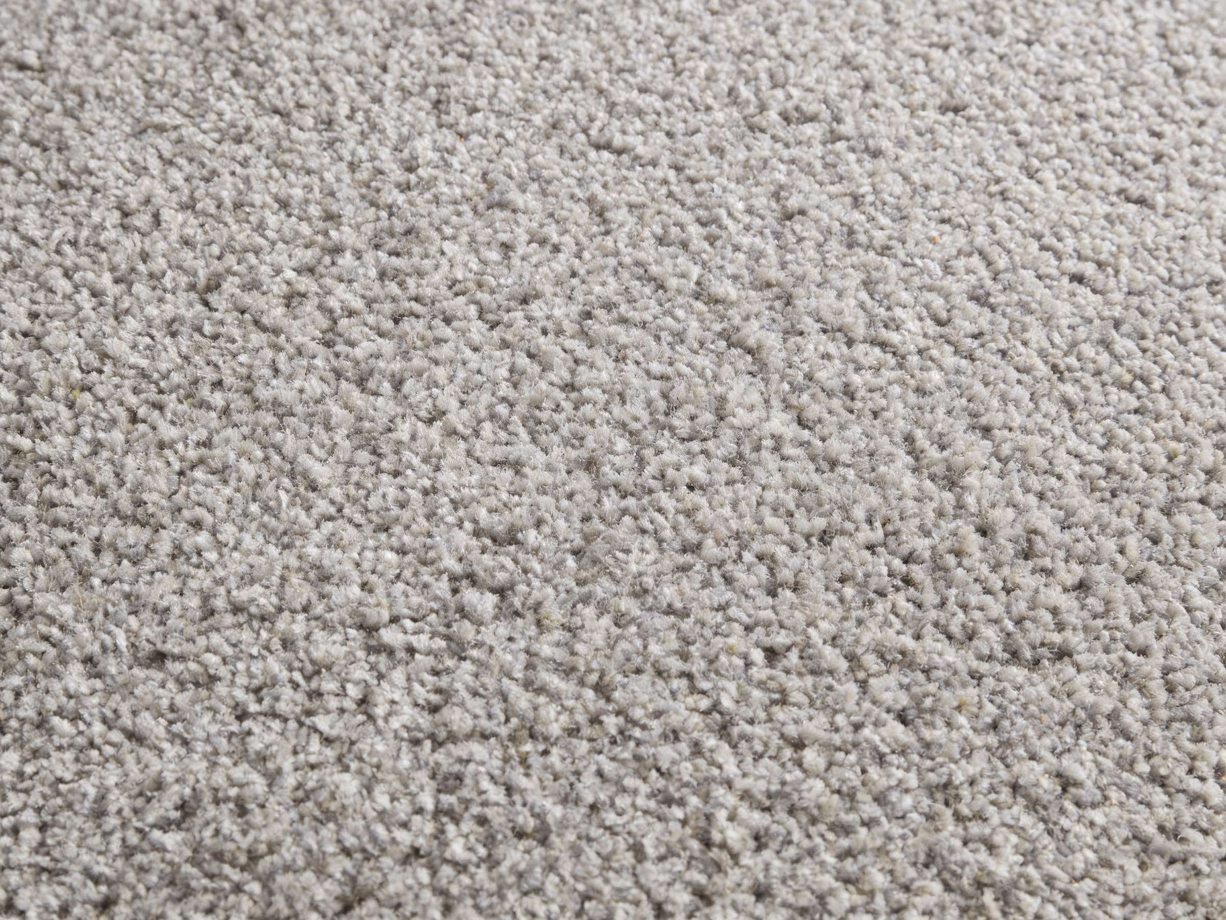 Close-up view of a textured light gray carpet with dense, soft fibers.
