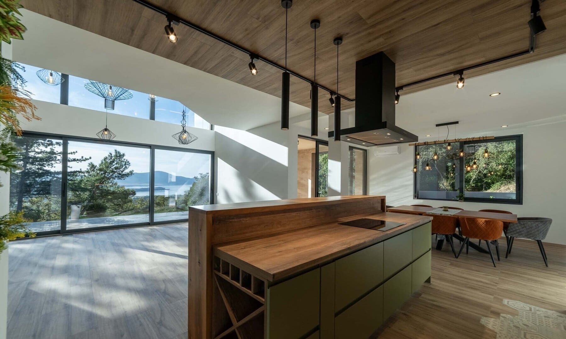 Three-Bedroom Villa with Rooftop Pool in Kavač