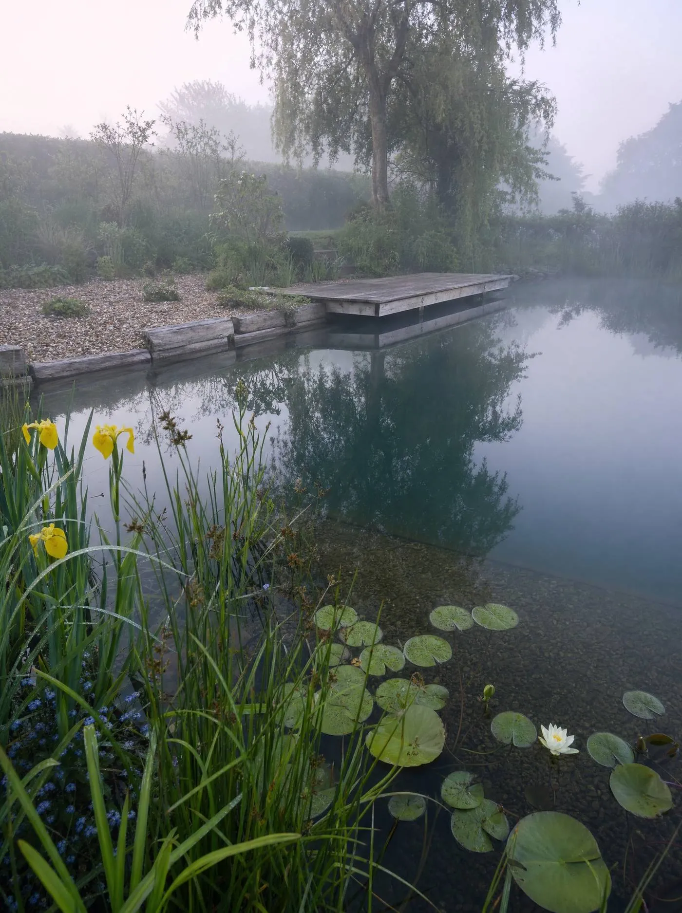 Natural swimming pool with cut stone coping