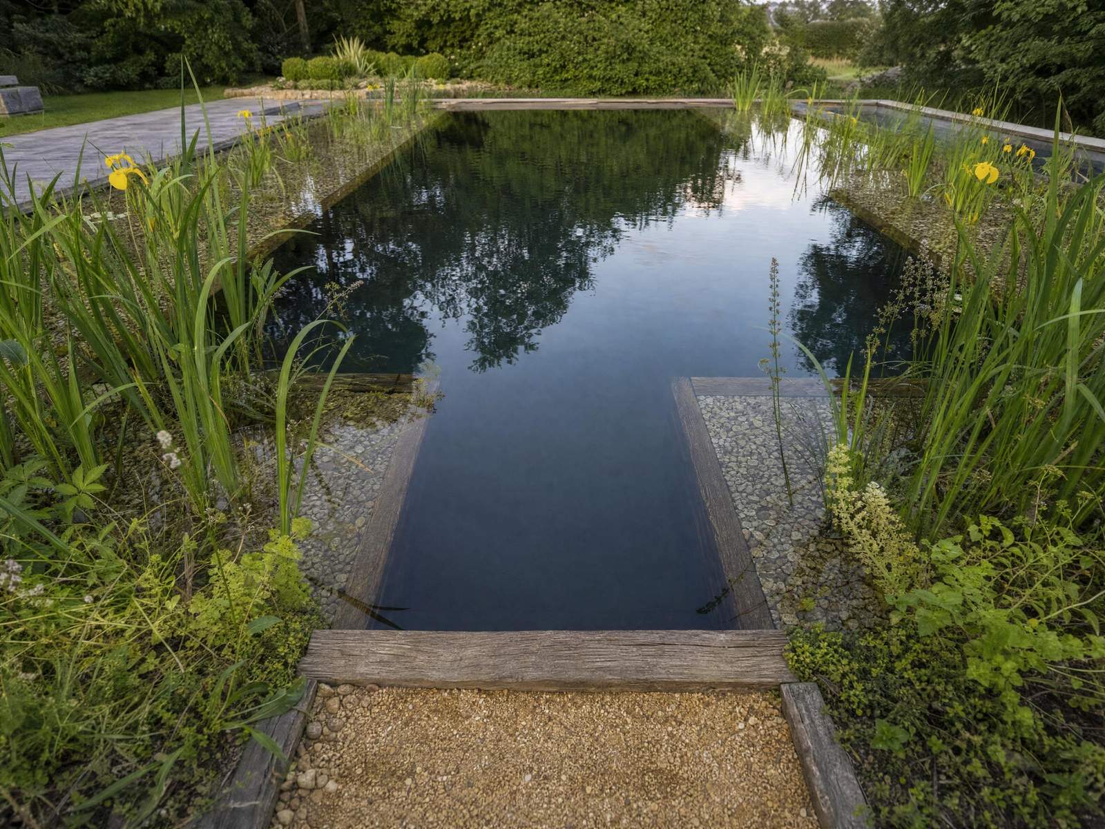 Formal natural pool with pale stone coping, reed margins and clear turquoise water