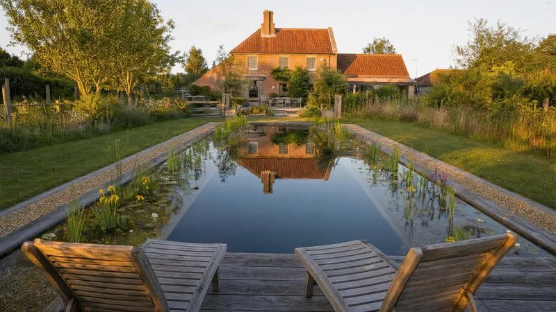 Reeds and water lilies filling out the planted margin of a settled pool