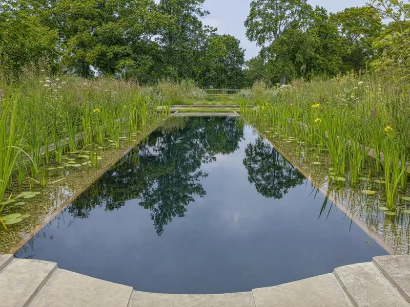 A living pool seen from above, with a stone terrace and loungers along one side