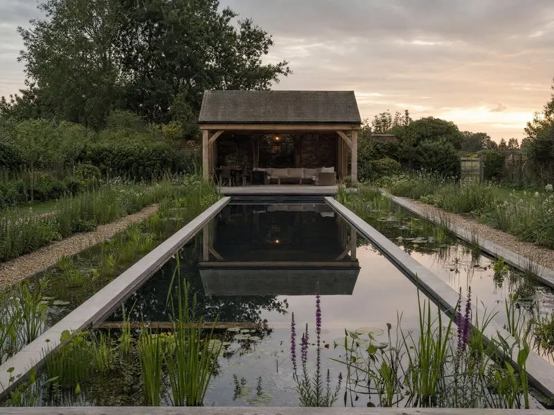 Reeds and lilies in a regeneration zone